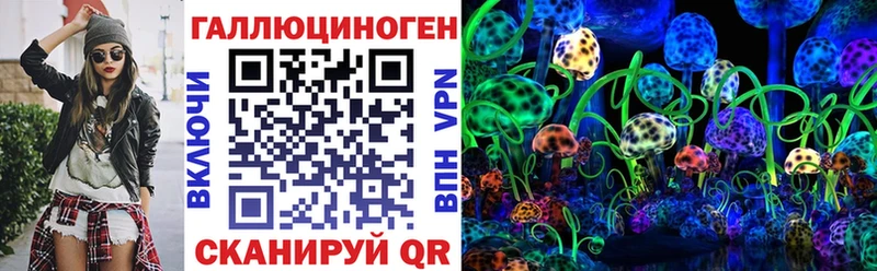 Галлюциногенные грибы Cubensis  Западная Двина 