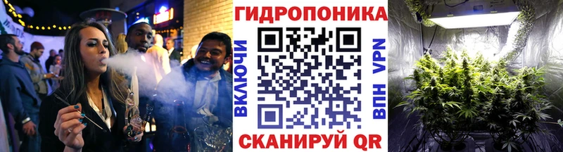 Канабис конопля  OMG ТОР  Западная Двина 